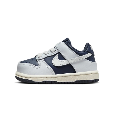 Nike Dunk Low Toddler Ice Blue Obsidian FB9107-002