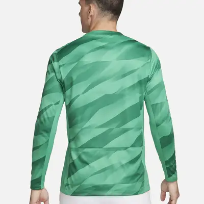 Nike England 2023-24 Stadium Goalkeeper Dri-Fit Football Shirt HM5509-324 Back