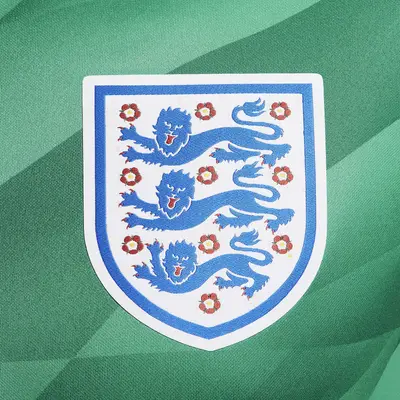 Nike England 2023-24 Stadium Goalkeeper Dri-Fit Football Shirt HM5509-324 Detail 3