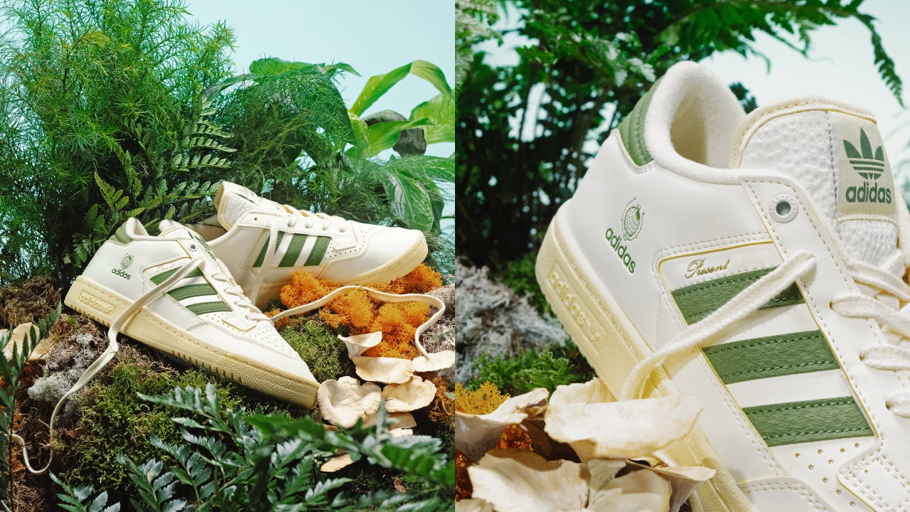 END. x adidas Originals Ready the Sustainable Centennial Lo "Present"