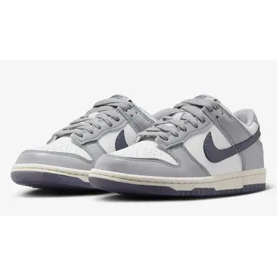 Nike Dunk Low GS Light Carbon | Where To Buy | FB9109-101 | The Sole ...