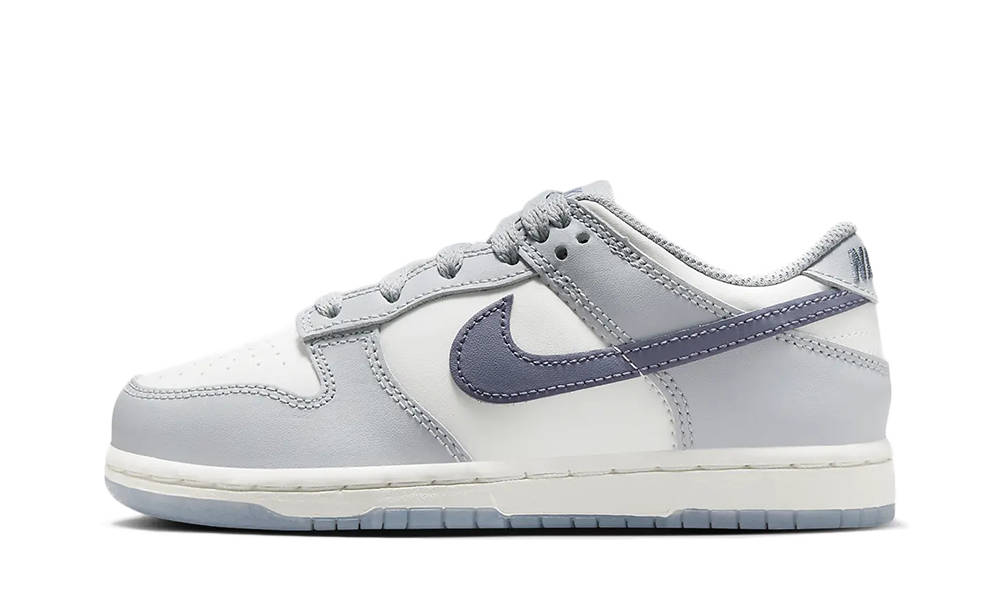 Nike Dunk Low PS Light Carbon FB9108-101