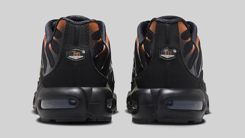 Nike TN Air Max Plus Blackened-Blue Orange FN6949-400 Back