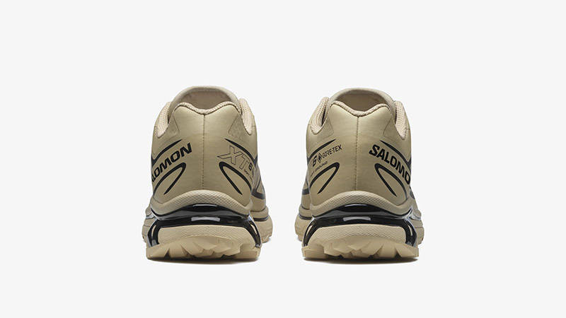 Salomon XT-6 GTX Safari back