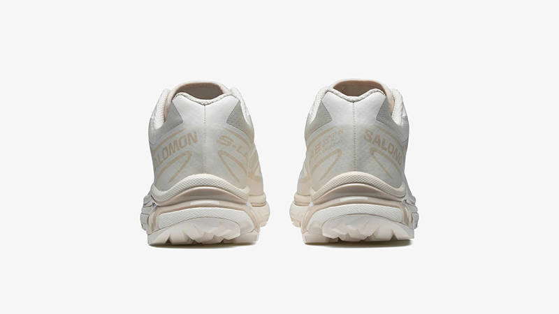 Salomon XT-6 Vanilla Ice back