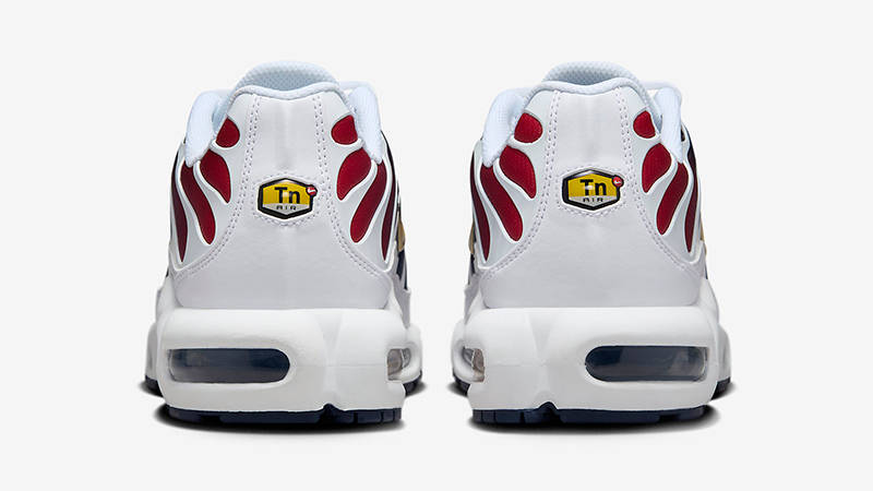 Nike TN Air Max Plus PSG FZ4776-100 Back