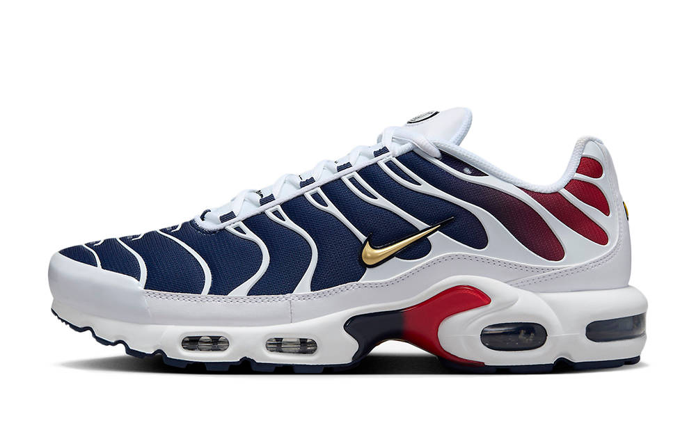 Nike TN Air Max Plus PSG