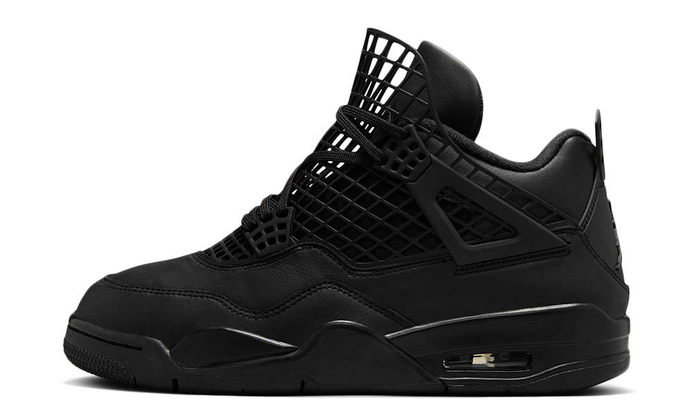 Air Jordan 4 Retro NET Black FN7251-001