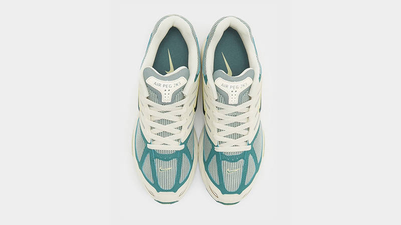 Nike Air Pegasus 2K5 Bicoastal middle