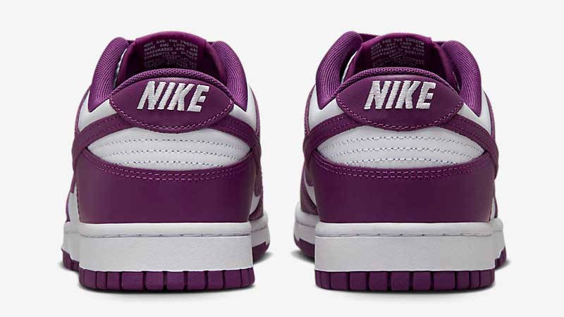 Nike Dunk Low Viotech Back