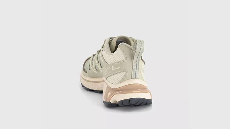 Salomon XT-6 Expanse Alfalfa Shortbread Aloe back