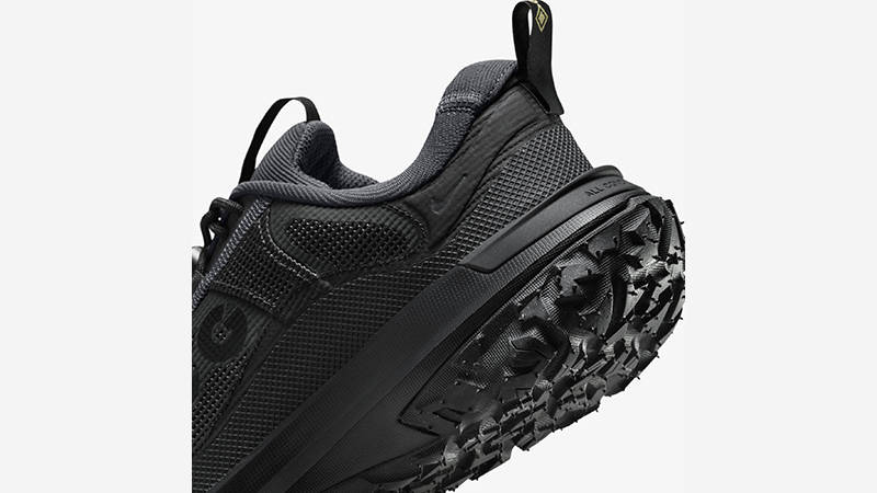 Nike ACG Mountain Fly 2 Low Gore-Tex Black heel