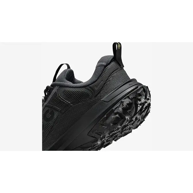 Nike ACG Mountain Fly 2 Low Gore-Tex Black | Where To Buy | HF6245-001 ...