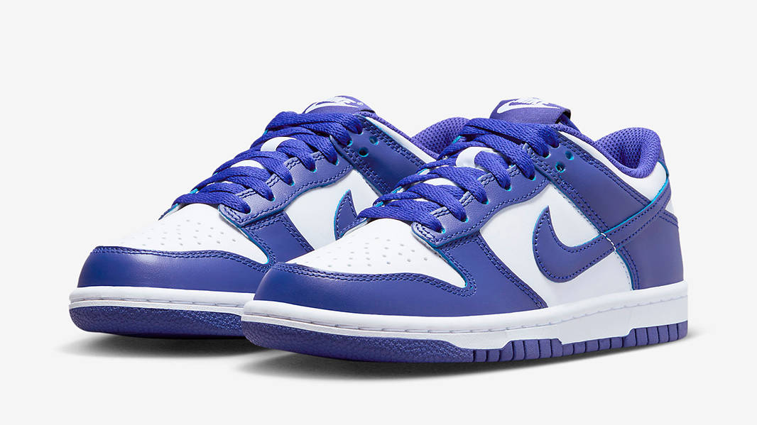Nike Dunk Low GS Concord FB9109-106 Side