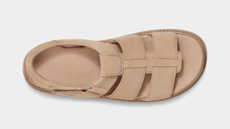 UGG Goldenstar Strap Sandal Driftwood 1137890-DRI Top