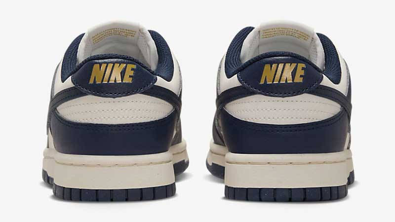 Nike Dunk Low Next Nature Olympic Back