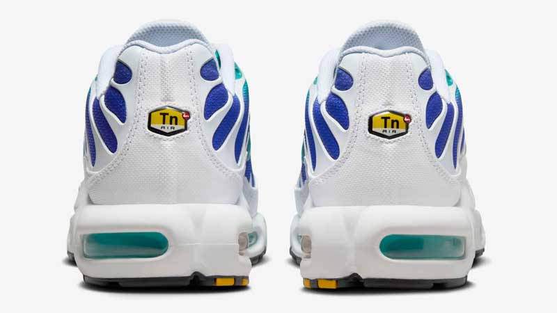 Nike TN Air Max Plus Aqua Back