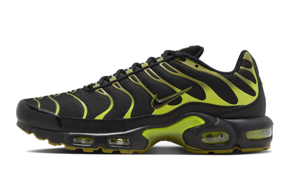 Nike TN Air Max Plus Pacific Moss DM0032-010