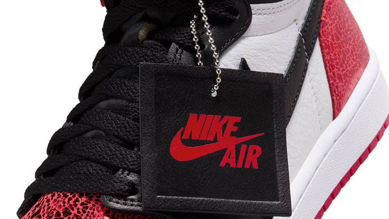 Air Jordan 1 High OG Ruby Side