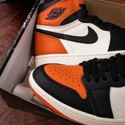 Jordan 1 Shattered Backboard 2025 | DZ5485-008 | Leather Quality