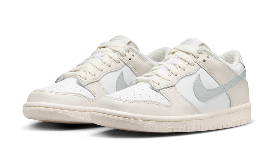 Nike Dunk Low GS Phantom Light Silver FB9109-109 Side