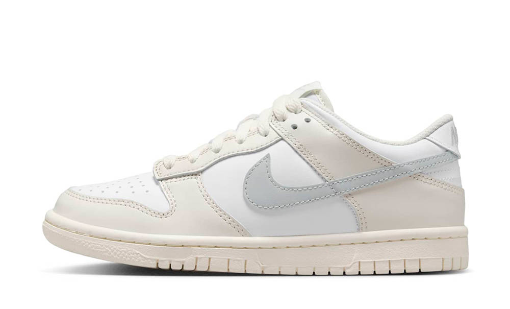Nike Dunk Low GS Phantom Light Silver FB9109-109