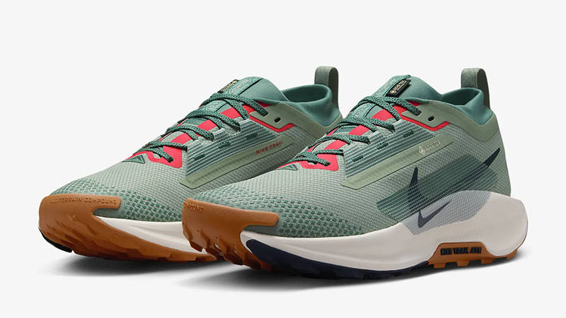 Nike Pegasus Trail GORE-TEX Jade Horizon Bicoastal FQ0908-300