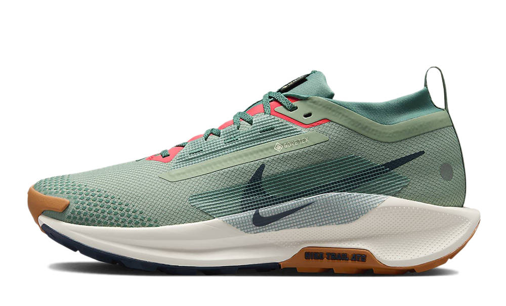 Nike Pegasus Trail 5 GORE TEX Jade Horizon Bicoastal FQ0908 300 The Sole Supplier