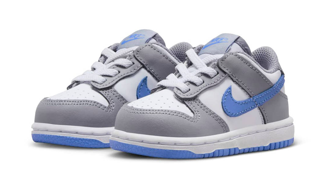Nike Dunk Low Toddler Grey Royal Pulse FB9107-121 Side