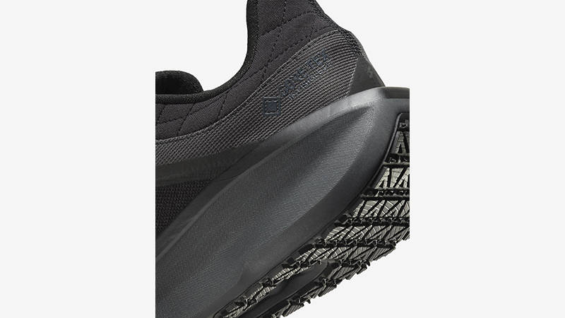Nike Winflo 11 GORE-TEX Black FQ1358-001 heel