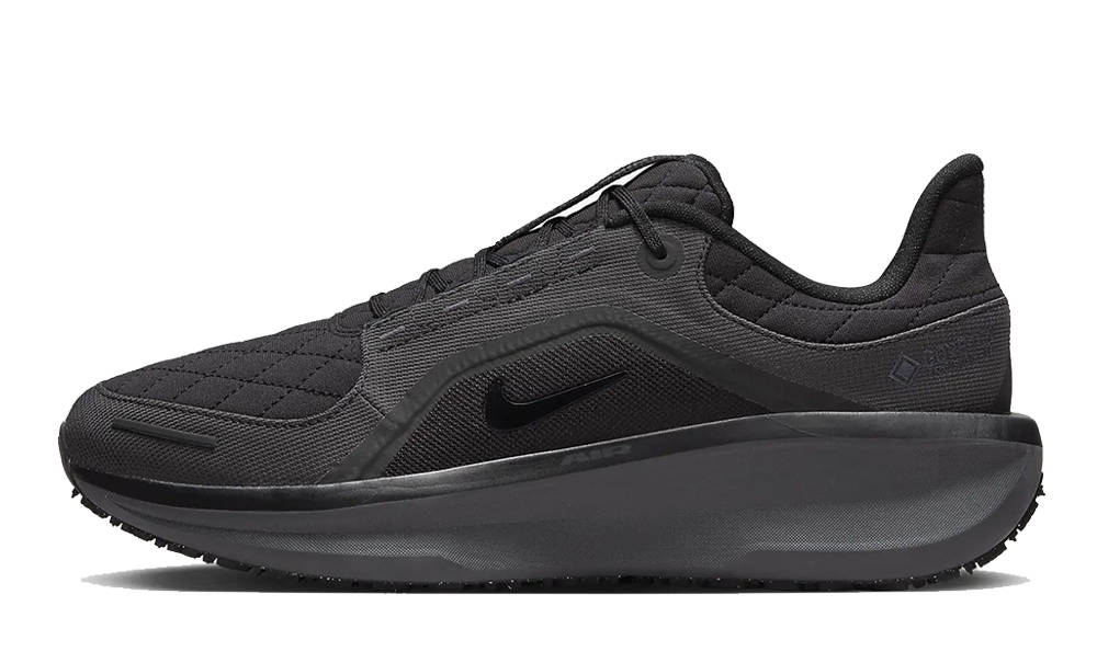 Nike Winflo 11 GORE-TEX Black FQ1358-001