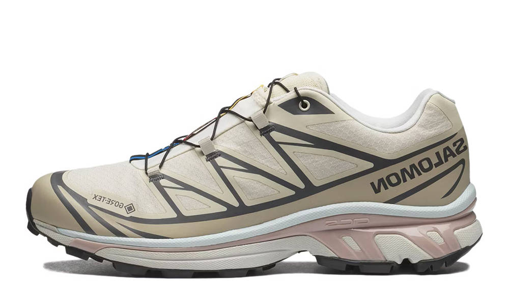 Salomon XT-6 Magnet Winter Pear | Where To Buy | l47293600