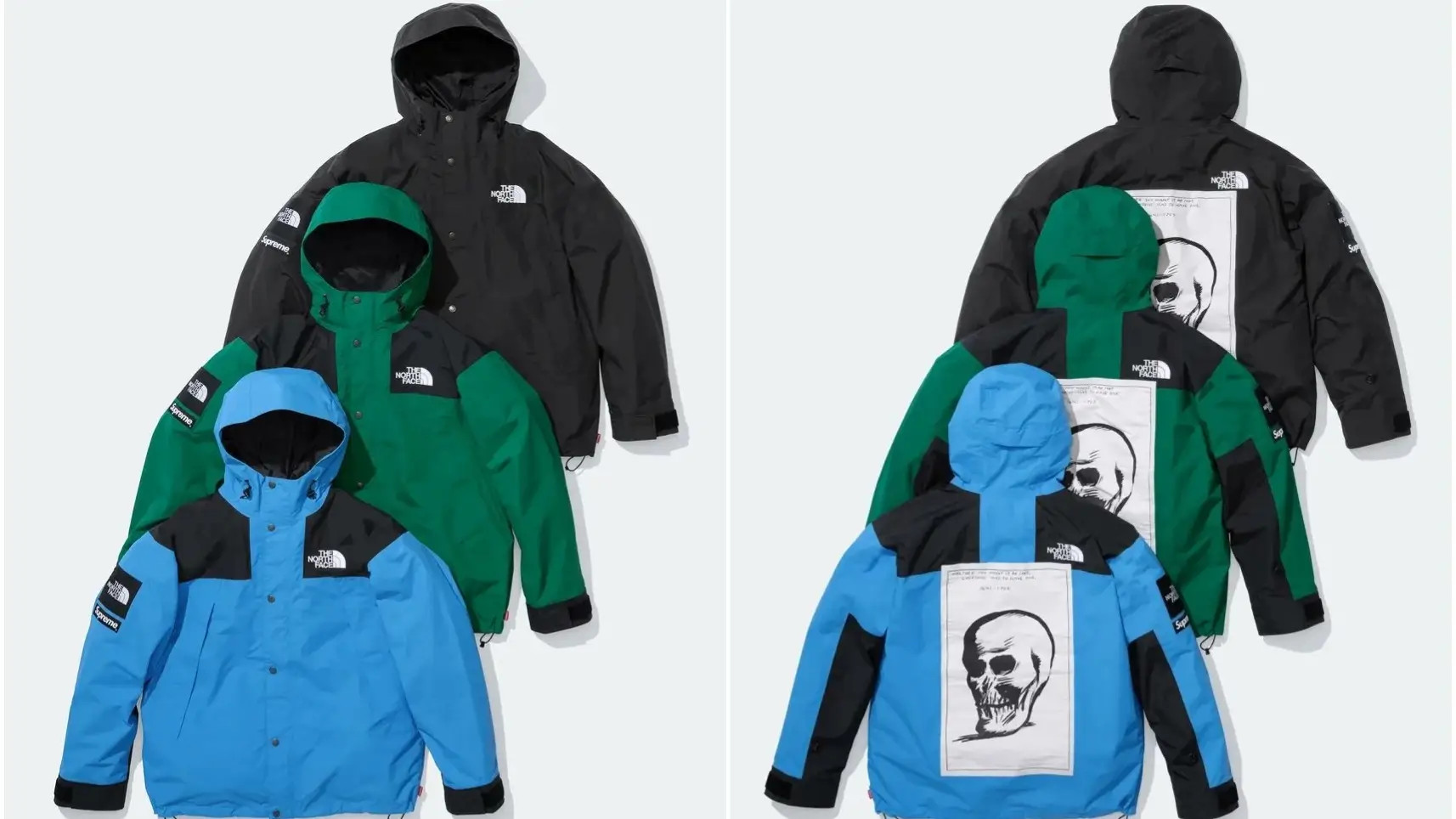 Supreme coat north face online