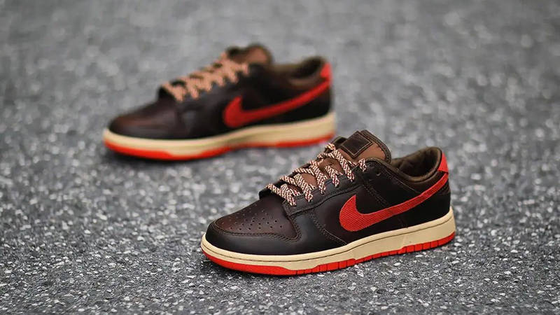 Nike Dunk Low Brown Red front