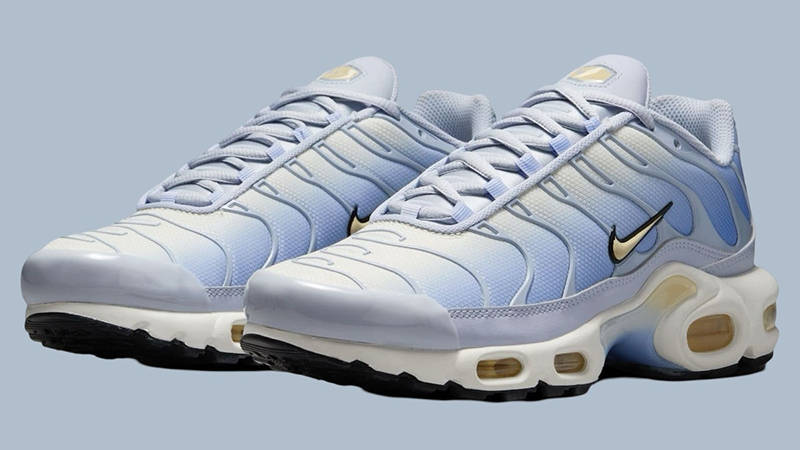 Nike TN Air Max Plus Daybreak Dawn DZ3670-004 The Sole Supplier