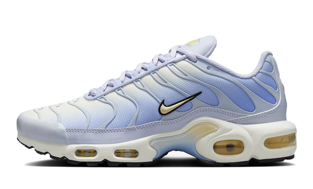 Nike TN Air Max Plus Daybreak Dawn DZ3670-004 The Sole Supplier