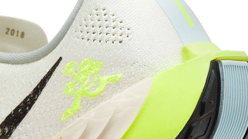 Nike Pegasus Plus Wherever Whenever Closeup