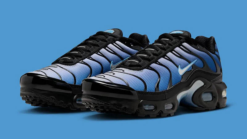 nike air max plus 48.5