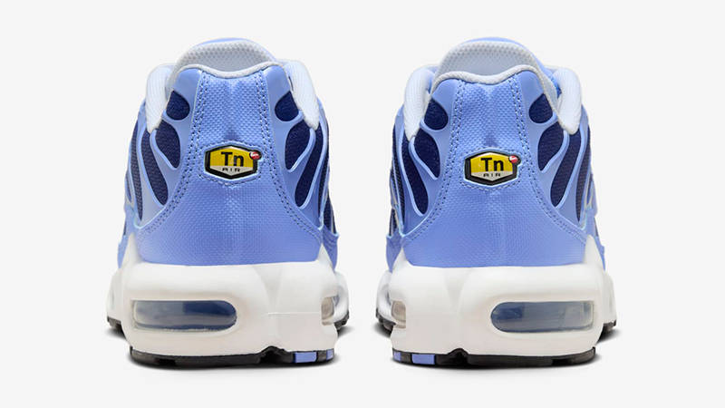 Nike TN Air Max Plus Royal Pulse DM0032-403 Back