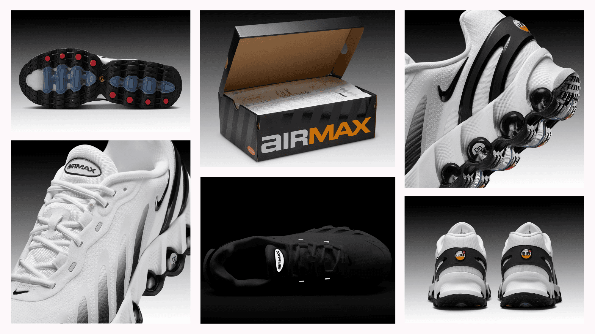 Nike Air Max DN8 Panda