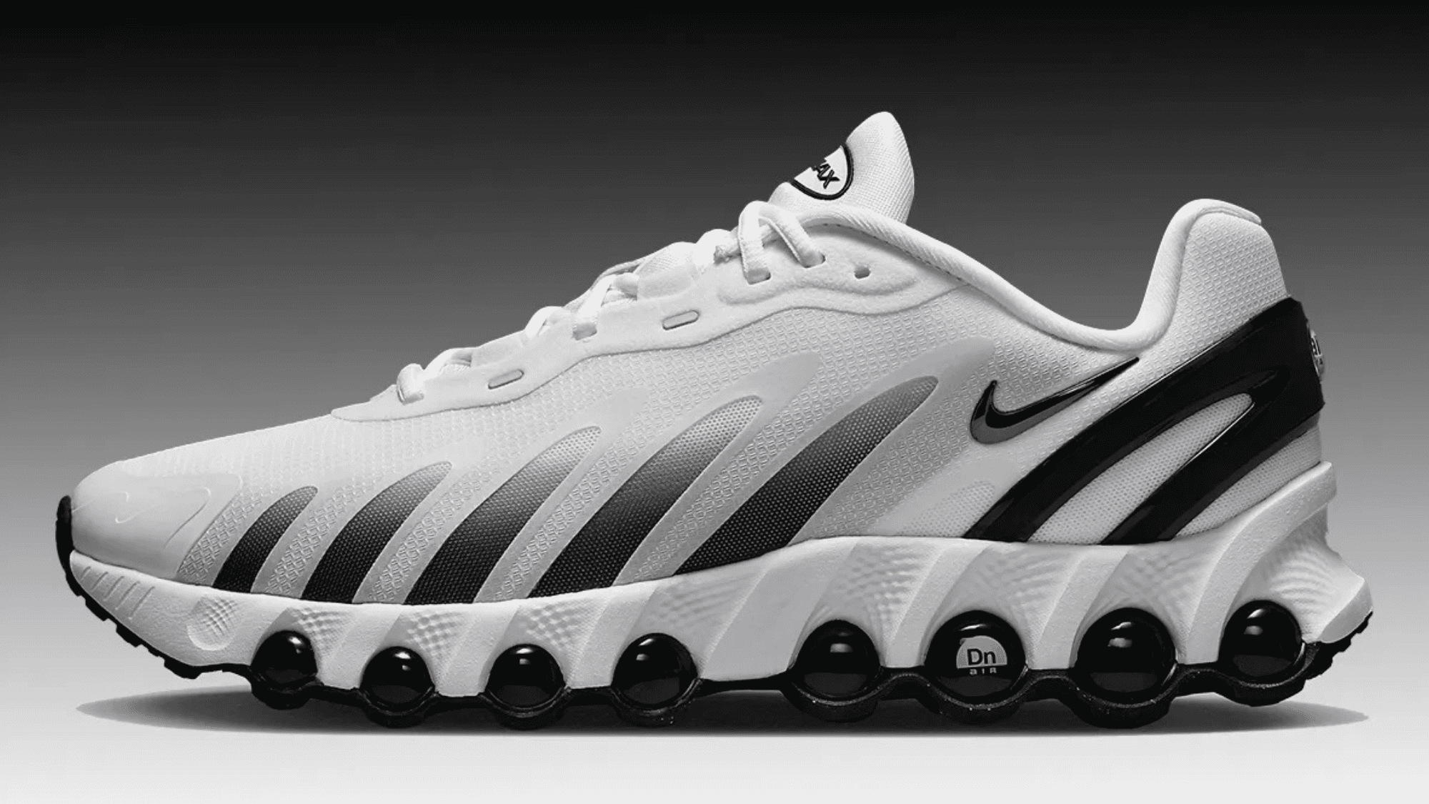 Nike Air Max DN8 Panda