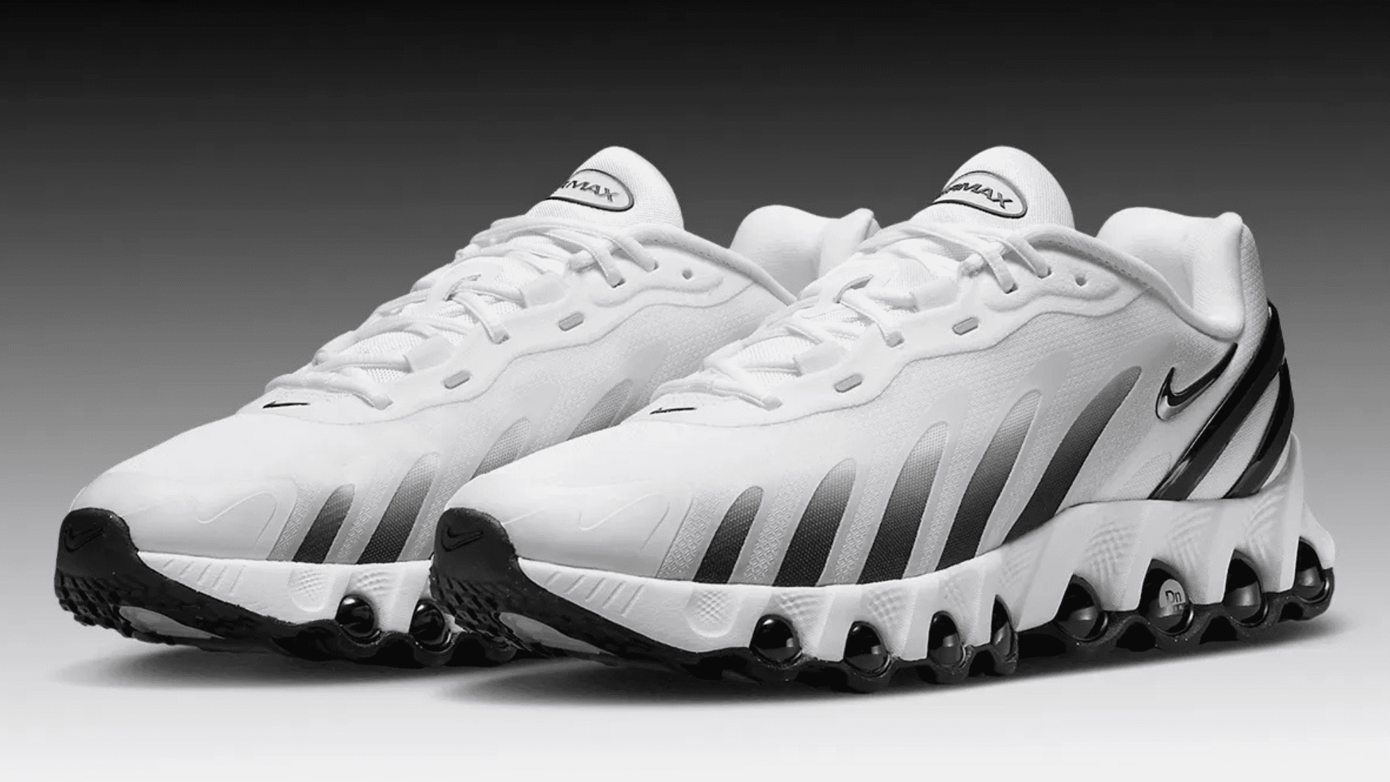 Air Max DN8 Panda