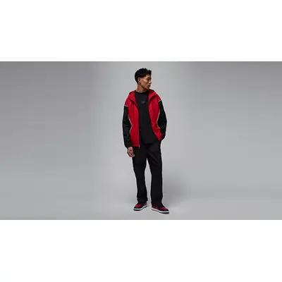 Air Jordan 1 Low Bred 553558-067 on foot
