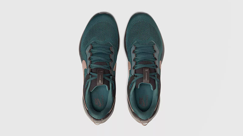 Nike Air Zoom Pegasus 41 Faded Spruce HQ6025-300 middle