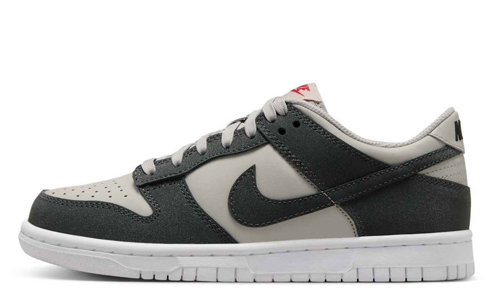 Nike Dunk Low GS Light Iron Ore Anthracite FZ1000-001 The Sole
