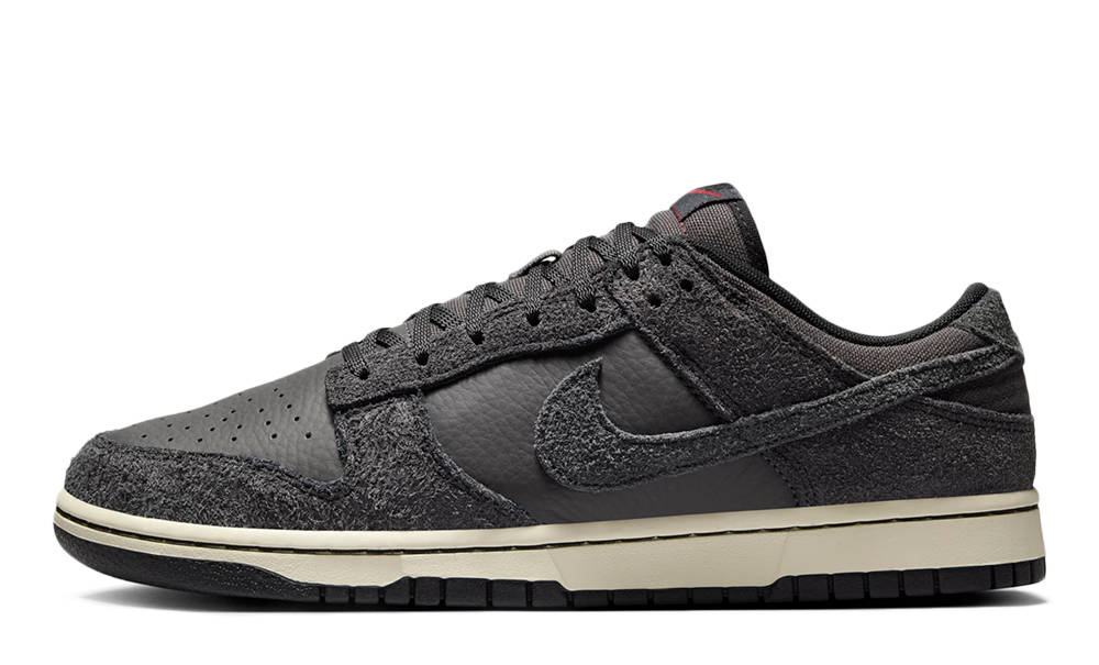 nike dunk low retro prm