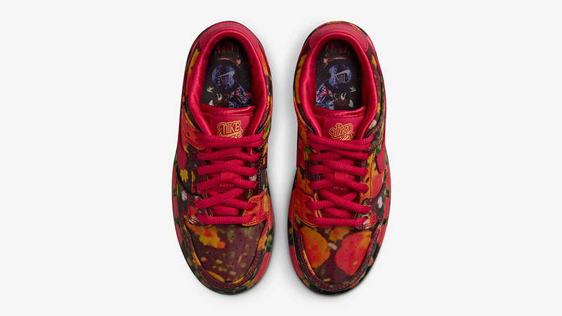 The Wizard of Oz x Nike SB Dunk Low PS Gym Red FZ1236-600 Top
