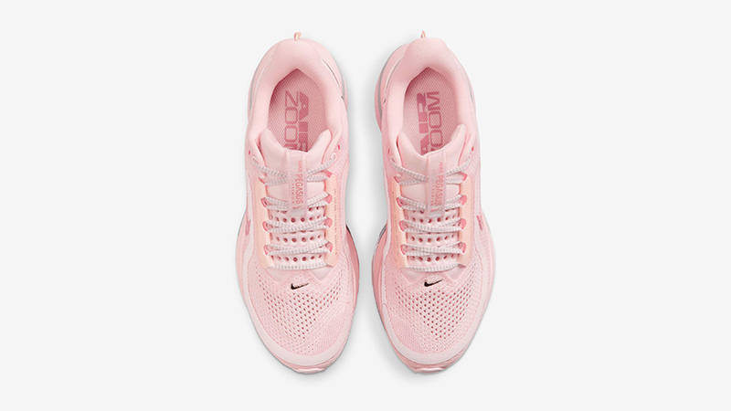 Nike Air Pegasus Premium Atmosphere HQ2593-601 middle