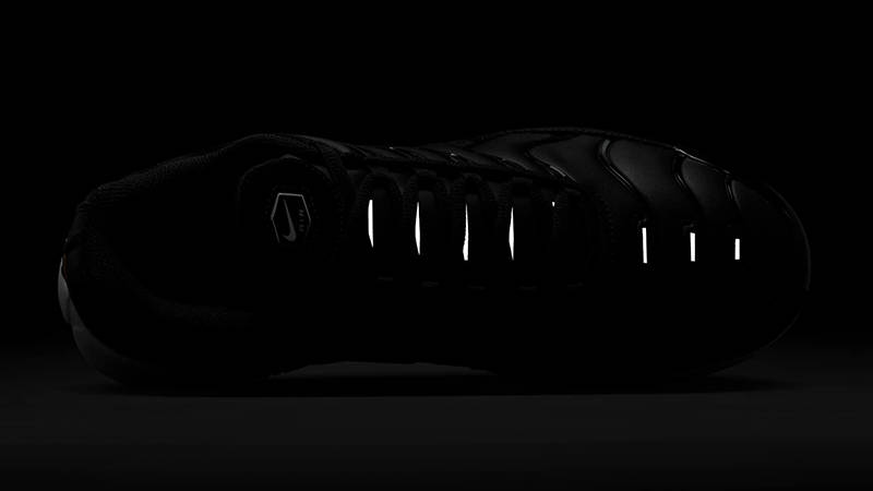 Nike TN Air Max Plus Black Leather FZ4150-001 in dark