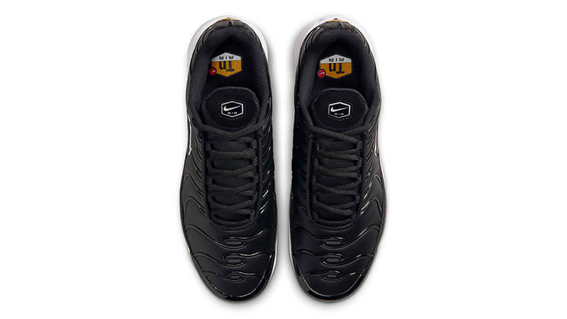 Nike TN Air Max Plus Black Leather FZ4150-001 Top